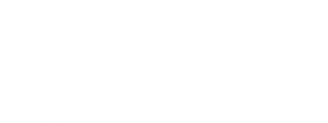 LOGO INIFE BCO PNG
